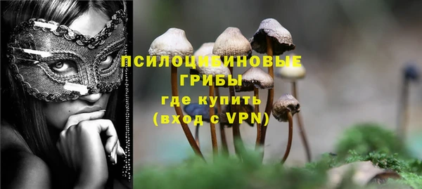 скорость Коряжма