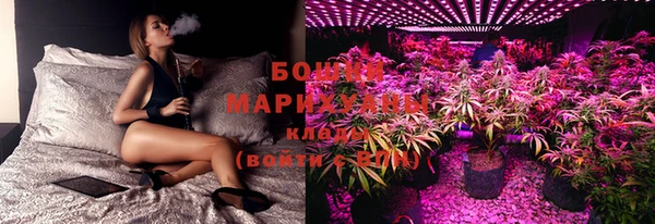 ECSTASY Корсаков