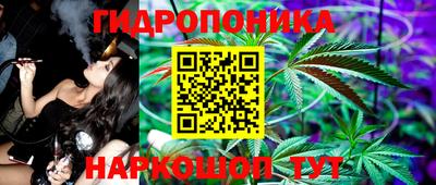 spice Моздок