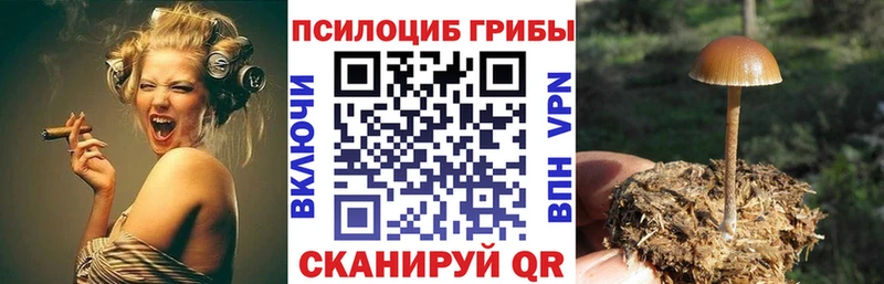 Псилоцибиновые грибы MAGIC MUSHROOMS  Псков 