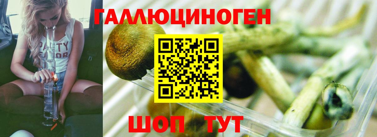 Галлюциногенные грибы Psilocybe  Галлюциногенные грибы мицелий  Вход с VPN  Псков 