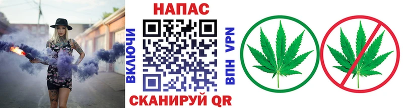 Каннабис MAZAR  цены   Псков 